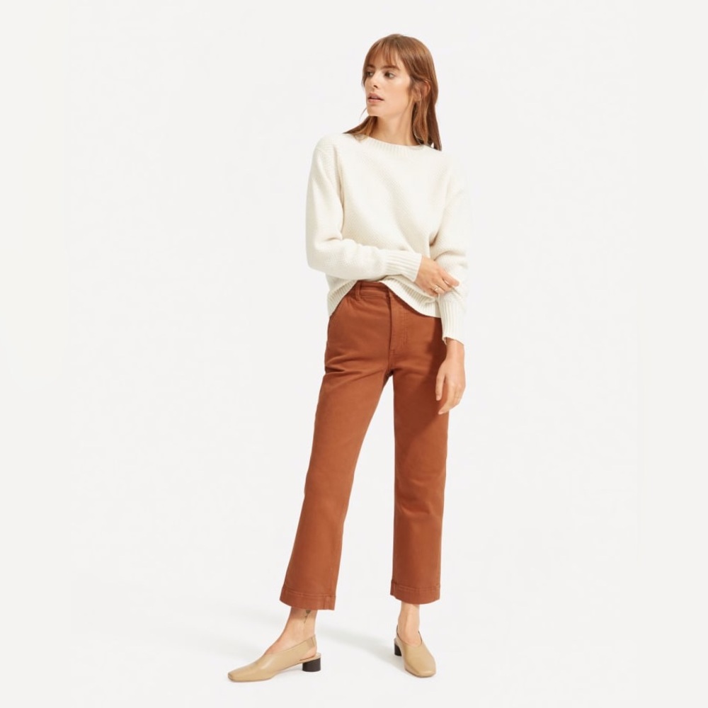 The Straight Leg Crop Pant Everlane - rust / terra cotta